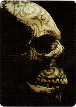 Extra One additional Image